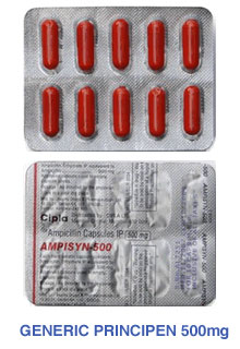 buy ampicillin